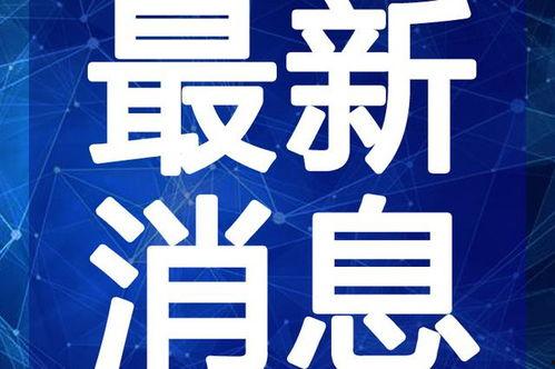 小英子最新爆料新闻视频,揭秘最新热点事件内幕